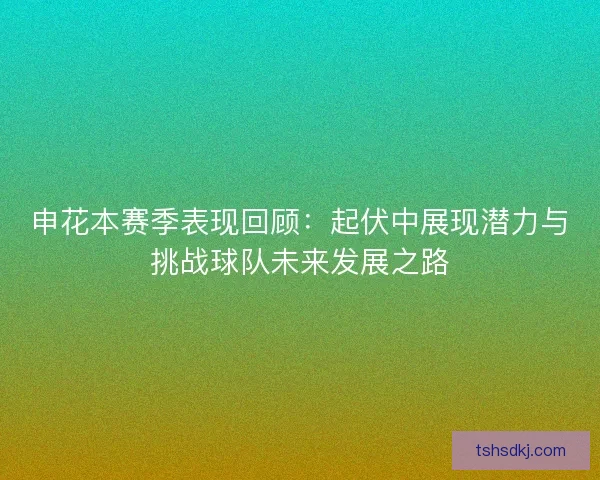 申花本赛季表现回顾：起伏中展现潜力与挑战球队未来发展之路