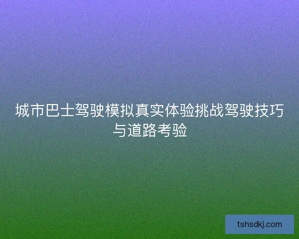 城市巴士驾驶模拟真实体验挑战驾驶技巧与道路考验