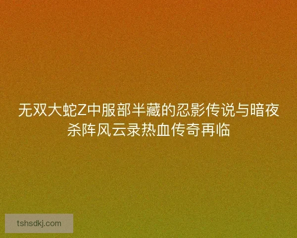 无双大蛇Z中服部半藏的忍影传说与暗夜杀阵风云录热血传奇再临