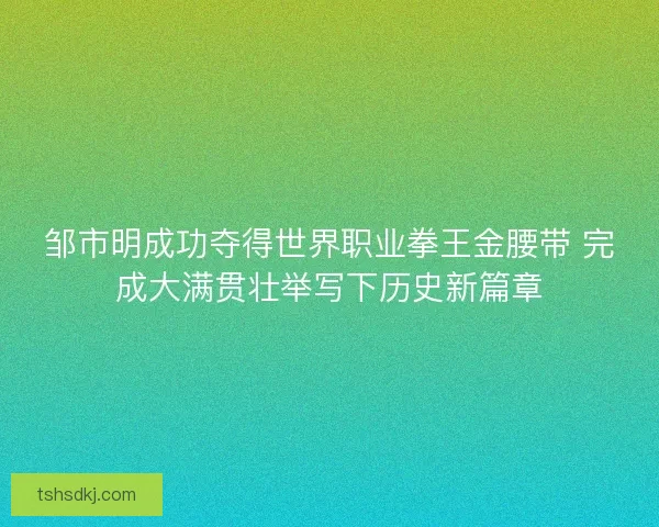 邹市明成功夺得世界职业拳王金腰带 完成大满贯壮举写下历史新篇章